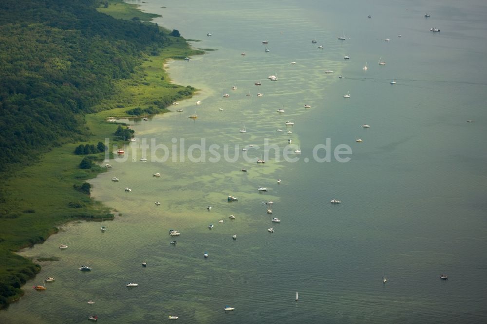 Klink von oben - Uferbereiche des Sees Müritz mit in Klink im Bundesland Mecklenburg-Vorpommern