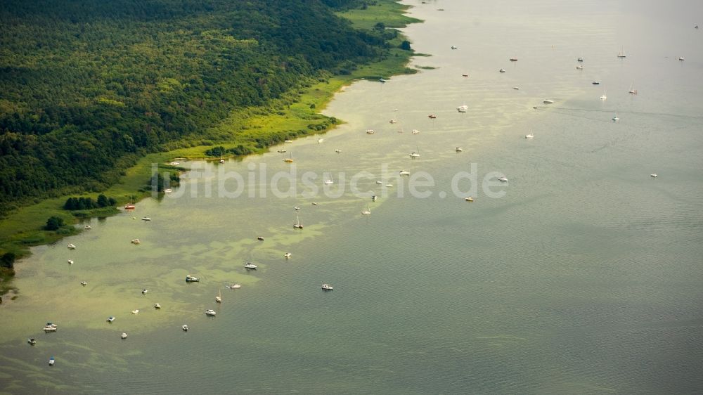 Klink aus der Vogelperspektive: Uferbereiche des Sees Müritz mit in Klink im Bundesland Mecklenburg-Vorpommern