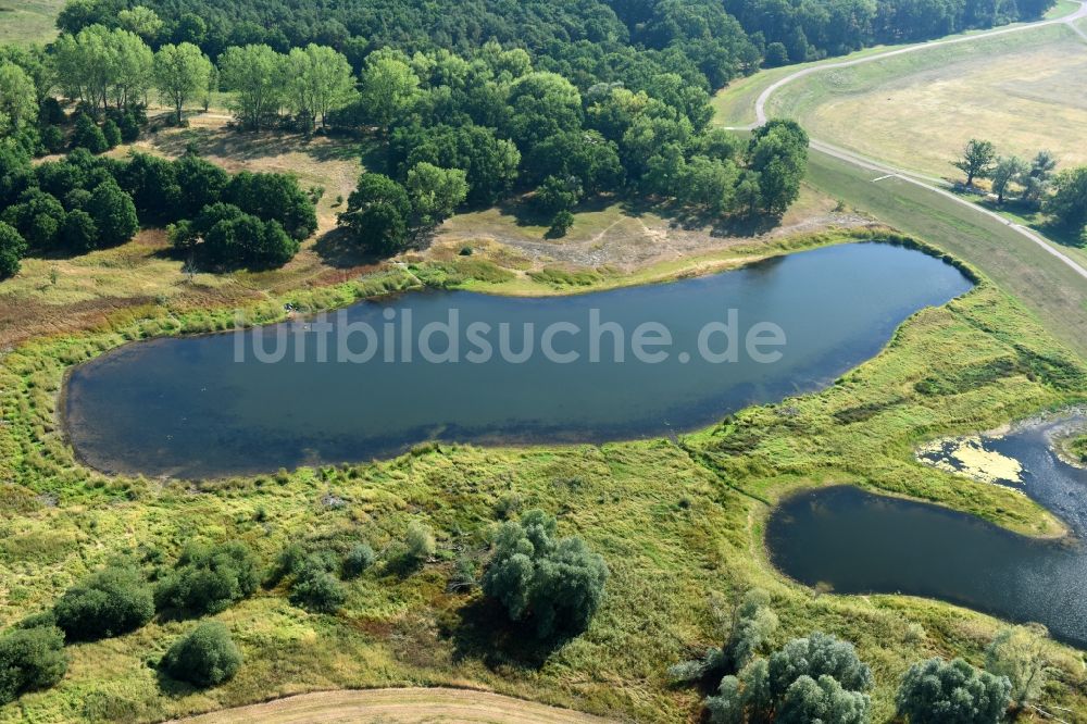 Schönhausen (Elbe) aus der Vogelperspektive: Uferbereiche des Sees Neues Wiel nahe Schönhausen (Elbe) im Bundesland Sachsen-Anhalt