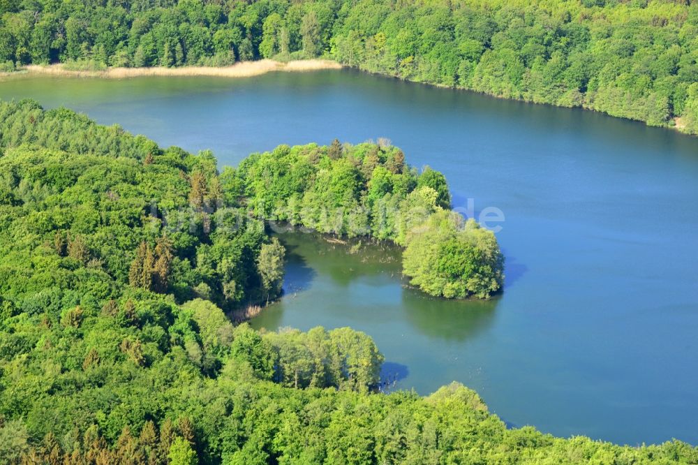 Luftaufnahme Schwerin - Uferbereiche des Sees Neumühler See in Schwerin im Bundesland Mecklenburg-Vorpommern