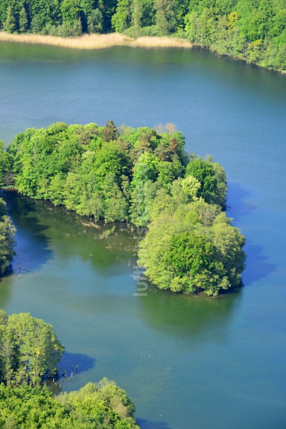 Schwerin aus der Vogelperspektive: Uferbereiche des Sees Neumühler See in Schwerin im Bundesland Mecklenburg-Vorpommern