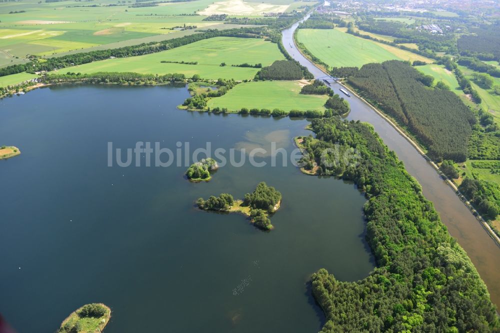 Niegripp von oben - Uferbereiche des Sees Niegripper See in Niegripp im Bundesland Sachsen-Anhalt