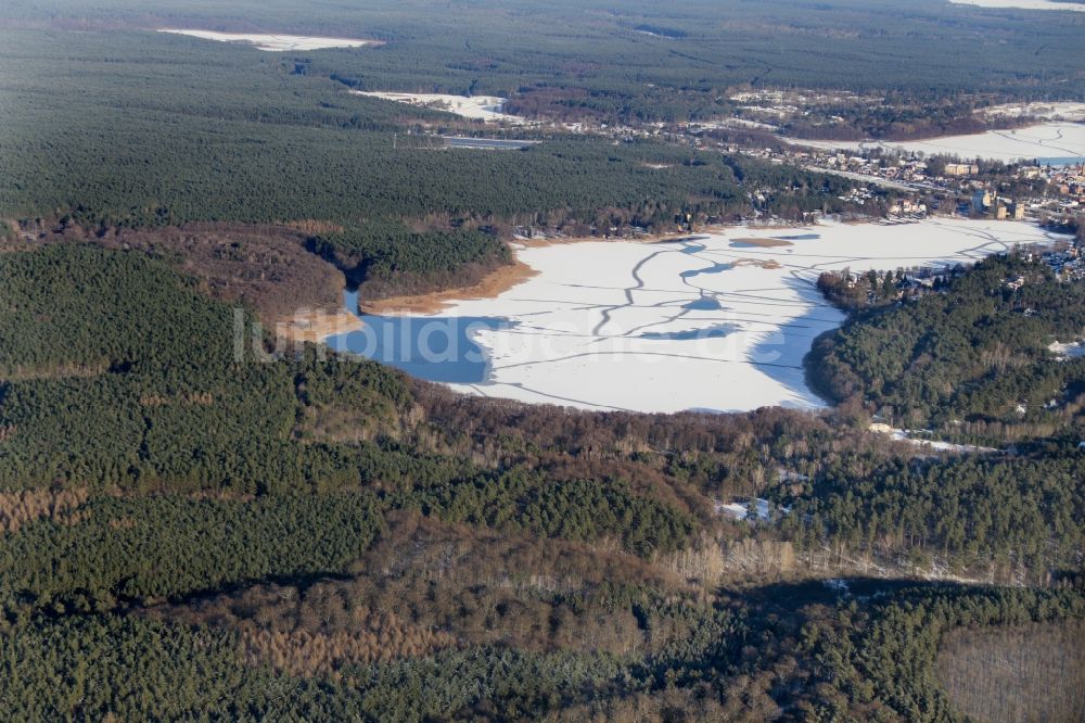 Lychen aus der Vogelperspektive: Uferbereiche des Sees Oberpfuhl See im Ortsteil Metropolregion Berlin/Brandenburg in Lychen im Bundesland Brandenburg