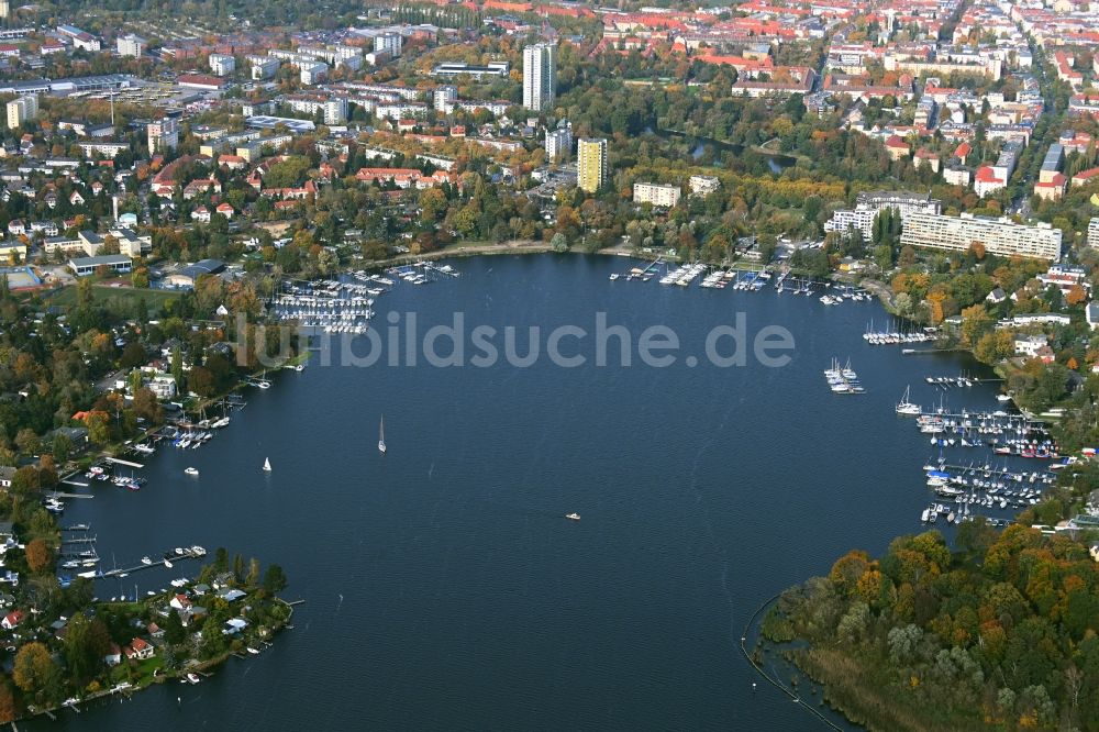 Luftaufnahme Berlin - Uferbereiche des Sees Pichelssee- Scharfe Lanke in einem Waldgebiet im Ortsteil Pichelsdorf in Berlin, Deutschland