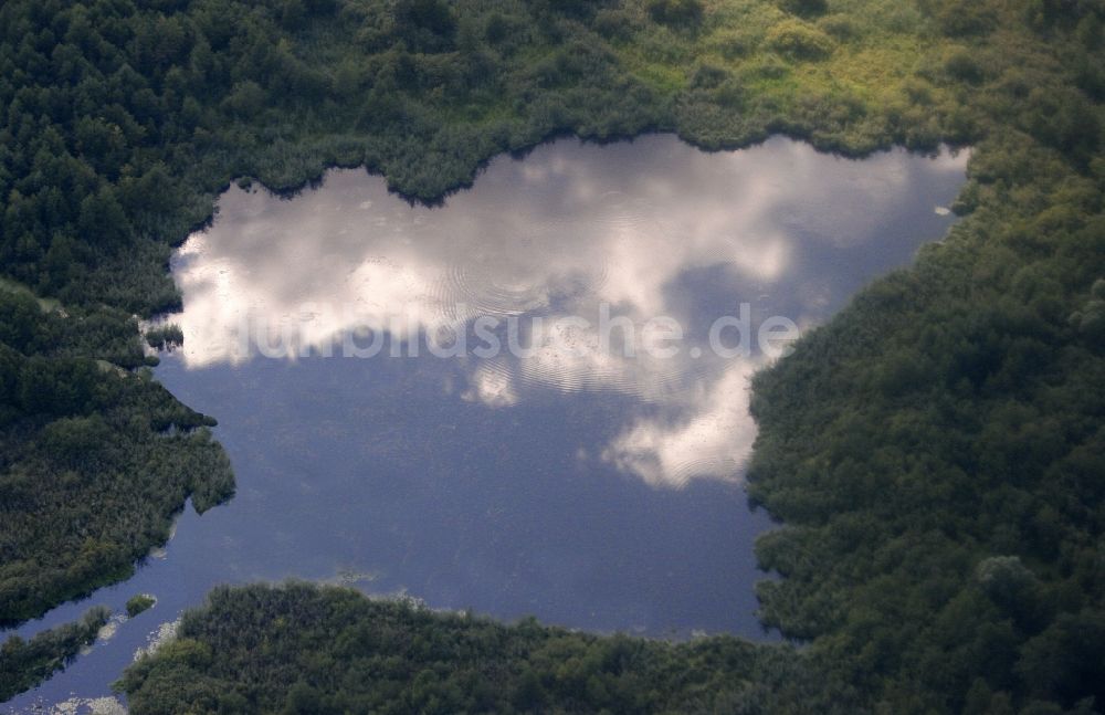 Luftaufnahme Oranienburg - Uferbereiche des Sees Pinnower See in Oranienburg im Bundesland Brandenburg