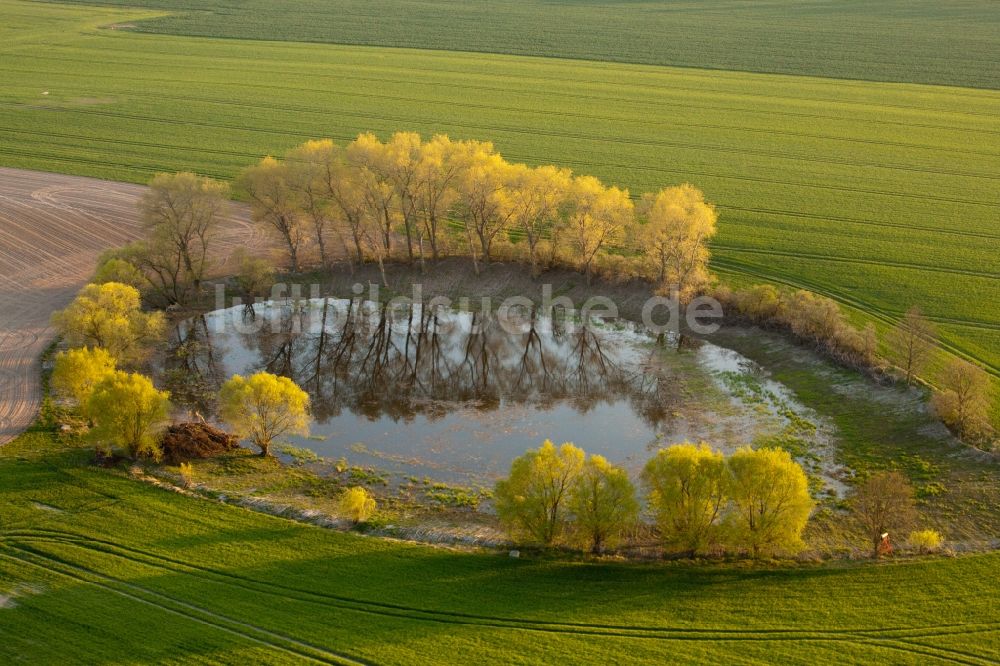 Luftaufnahme Niederer Fläming - Uferbereiche des Sees Röte umstanden von Goldahorn in Niederer Fläming im Bundesland Brandenburg