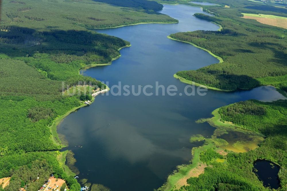 Mirow von oben - Uferbereiche des Sees Rätzsee in einem Waldgebiet in Mirow im Bundesland Mecklenburg-Vorpommern, Deutschland