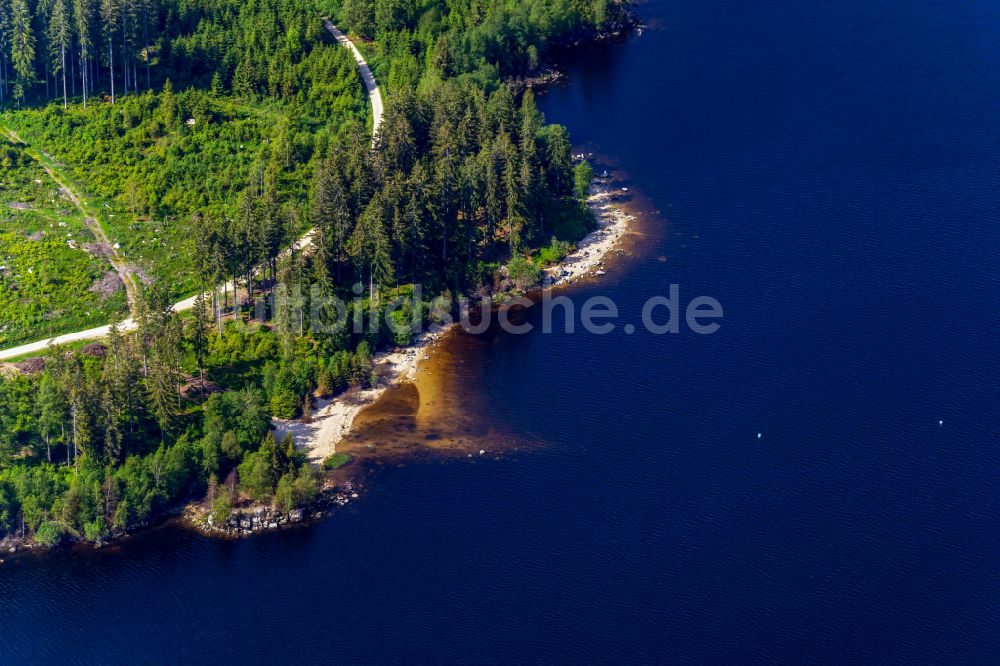 Schluchsee von oben - Uferbereiche des Sees Schluchsee mit Kaiserbucht in einem Waldgebiet in Schluchsee im Bundesland Baden-Württemberg, Deutschland