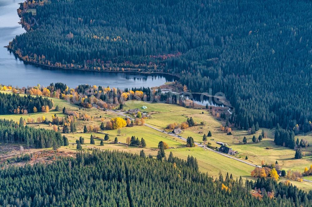 Luftaufnahme Schluchsee - Uferbereiche des Sees Schluchsee Oberlauf in Schluchsee im Bundesland Baden-Württemberg, Deutschland