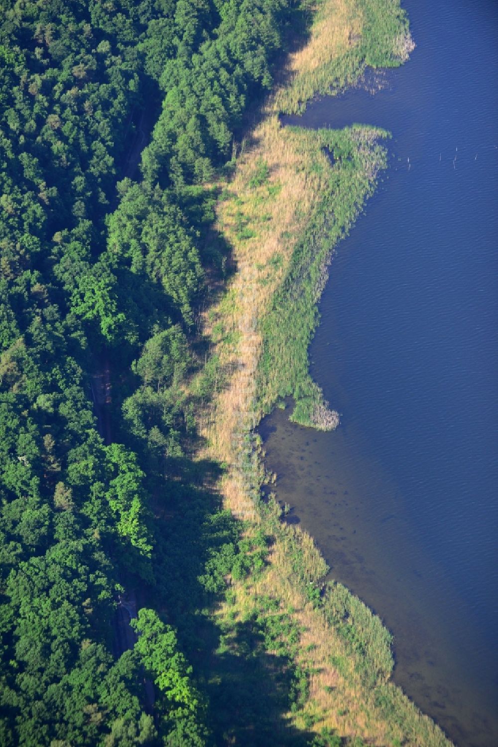 Petzow von oben - Uferbereiche des Sees Schwielowsee in Petzow im Bundesland Brandenburg