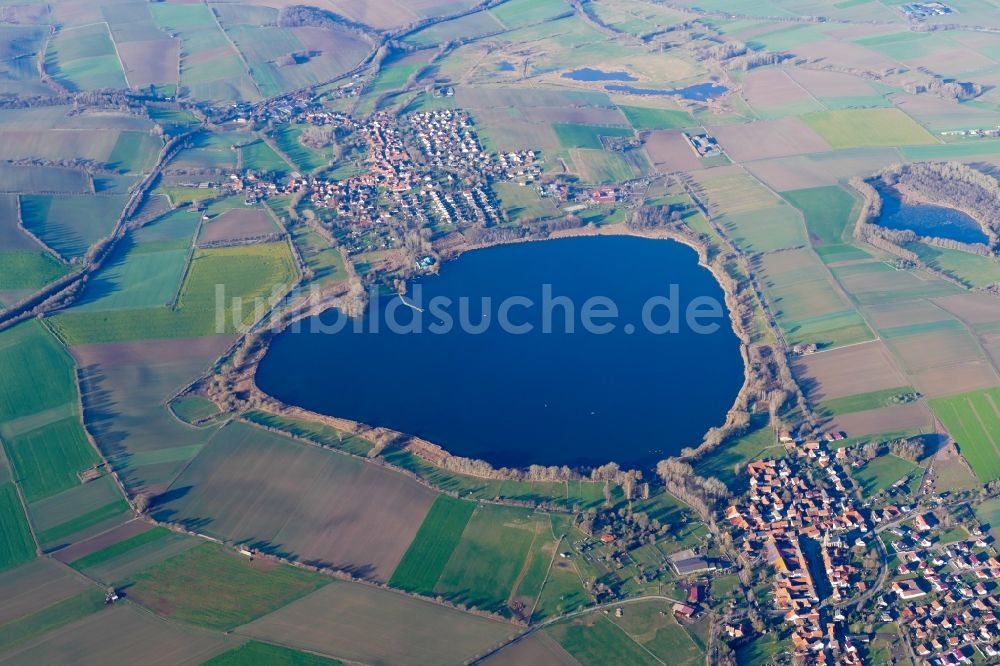 Seeburg aus der Vogelperspektive: Uferbereiche des Sees Seeburgberg See in Seeburg im Bundesland Niedersachsen, Deutschland