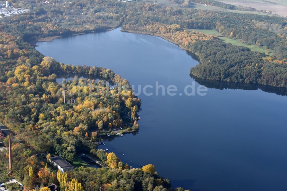 Rüdersdorf von oben - Uferbereiche des Sees Stienitzsee in Rüdersdorf im Bundesland Brandenburg