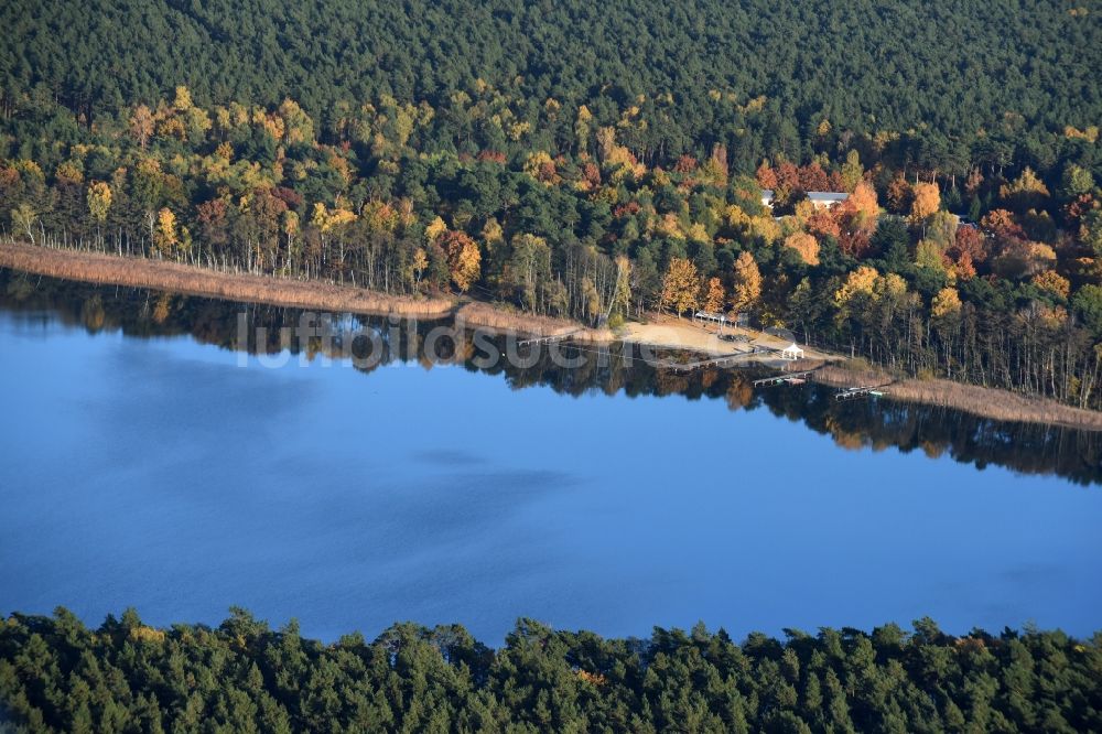 Grünheide (Mark) von oben - Uferbereiche des Sees Störitzsee in Grünheide (Mark) im Bundesland Brandenburg