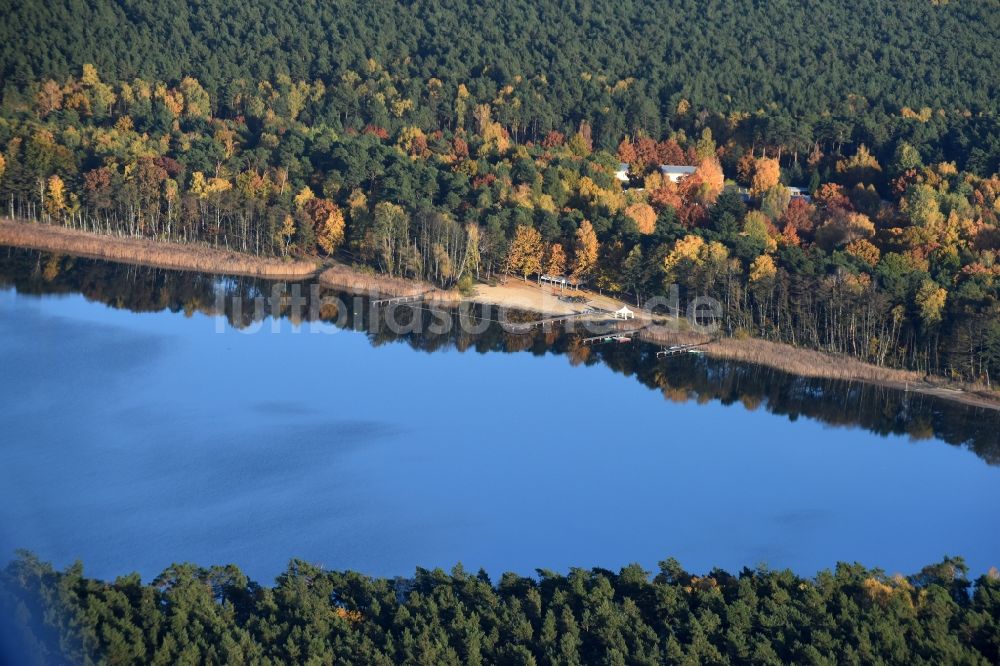 Grünheide (Mark) aus der Vogelperspektive: Uferbereiche des Sees Störitzsee in Grünheide (Mark) im Bundesland Brandenburg