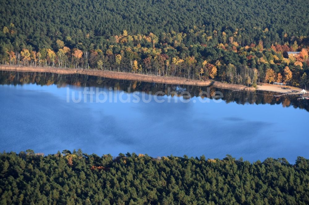 Luftbild Grünheide (Mark) - Uferbereiche des Sees Störitzsee in Grünheide (Mark) im Bundesland Brandenburg