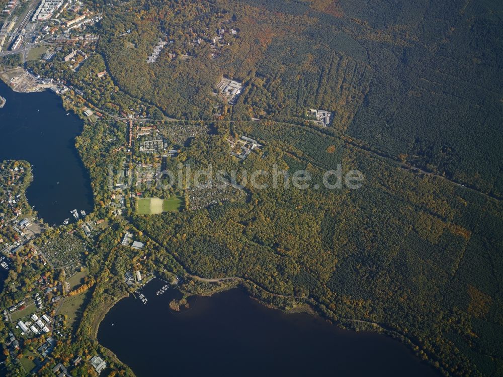 Luftaufnahme Potsdam - Uferbereiche des Sees Templiner See und angrenzendes Waldgebiet in Potsdam im Bundesland Brandenburg