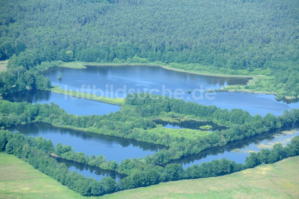 Luftaufnahme Leiferde - Uferbereiche des Sees am Viehmoor in Leiferde im Bundesland Niedersachsen