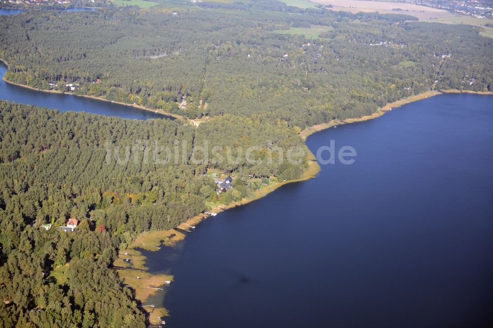 Wandlitz aus der Vogelperspektive: Uferbereiche des Sees Wandlitzer See in Wandlitz im Bundesland Brandenburg