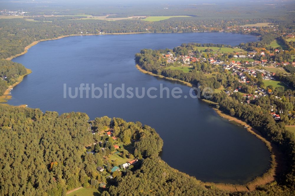 Luftaufnahme Wandlitz - Uferbereiche des Sees Wandlitzer See in Wandlitz im Bundesland Brandenburg