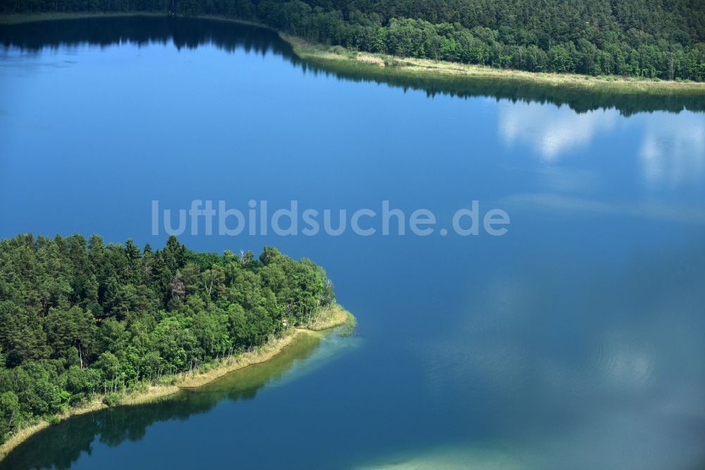 Luftbild Paulshorst - Uferbereiche des Sees Witwesee in Paulshorst im Bundesland Brandenburg