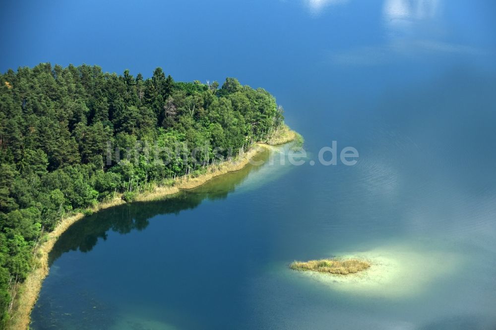 Luftaufnahme Paulshorst - Uferbereiche des Sees Witwesee in Paulshorst im Bundesland Brandenburg