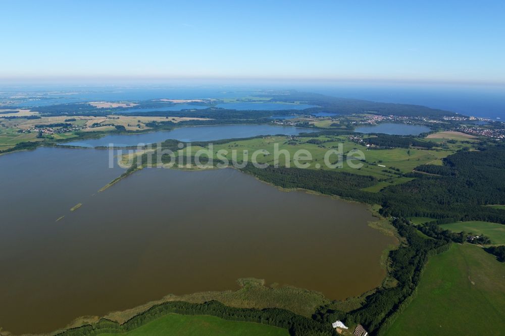 Korswandt aus der Vogelperspektive: Uferbereiche des Sees Wolgastsee in Korswandt im Bundesland Mecklenburg-Vorpommern