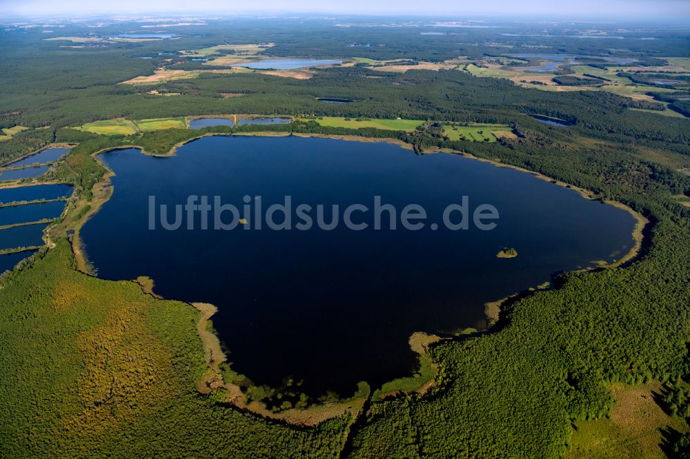 Luftaufnahme Rechlin - Uferbereiche des Sees Woterfitzsee in einem Waldgebiet in Rechlin im Bundesland Mecklenburg-Vorpommern, Deutschland