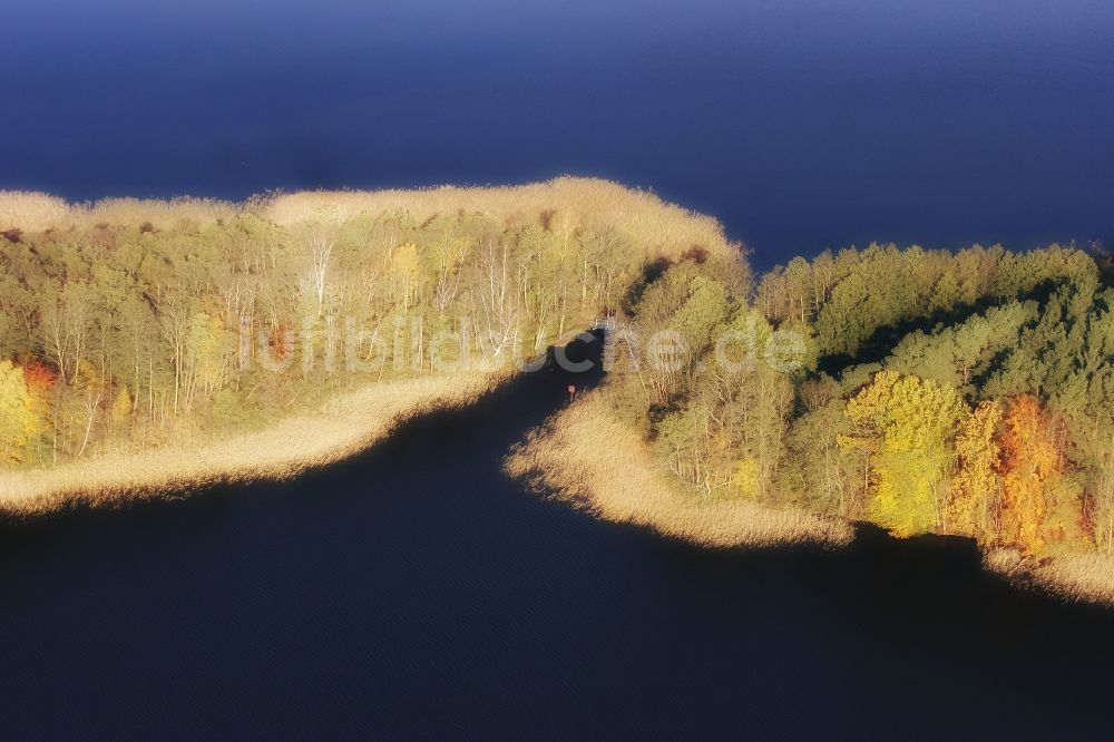 Lychen aus der Vogelperspektive: Uferbereiche des Sees Zenssee in Lychen im Bundesland Brandenburg