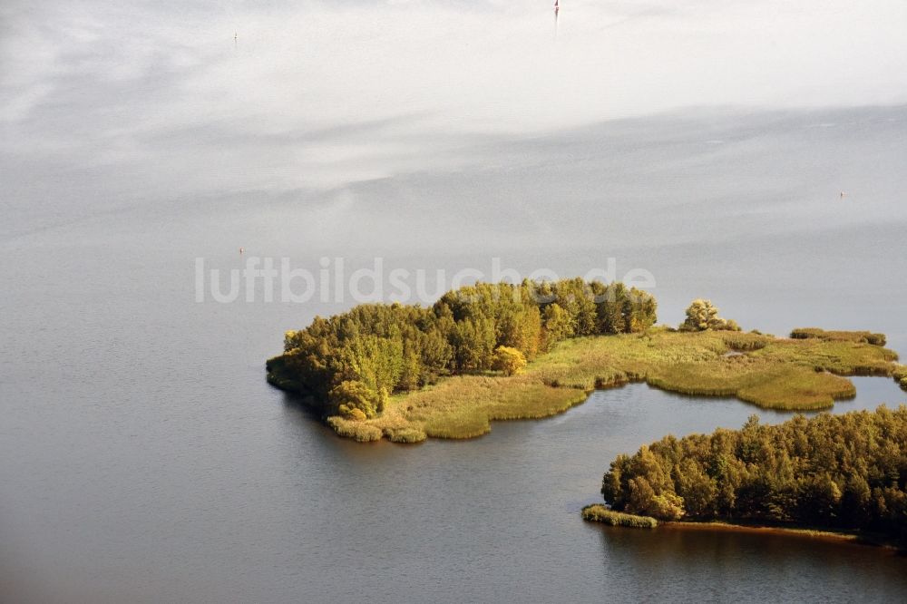 Luftbild Senftenberg - Uferbereiche des Senftenberger Sees in Senftenberg im Bundesland Brandenburg