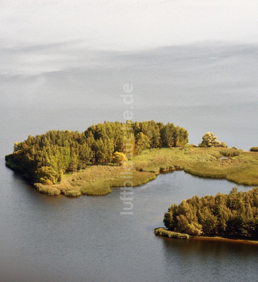 Luftaufnahme Senftenberg - Uferbereiche des Senftenberger Sees in Senftenberg im Bundesland Brandenburg