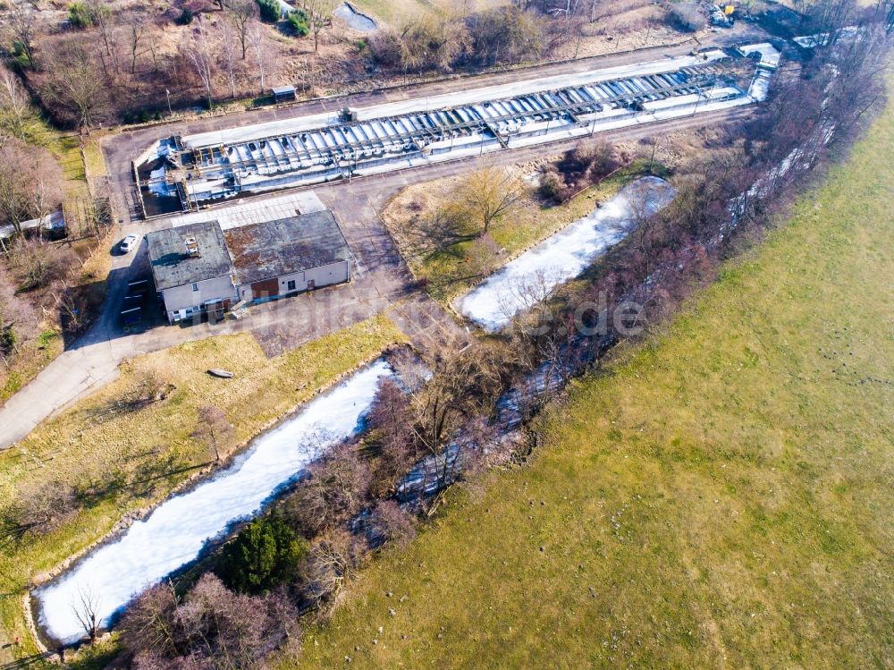 Planetal von oben - Uferbereiche der Teichanlagen zur Fischzucht Forellenanlage Locktow in Planetal im Bundesland Brandenburg, Deutschland