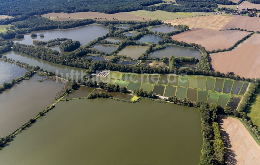 Königswartha von oben - Uferbereiche der Teichanlagen zur Fischzucht der Lehr- und Versuchsanlage in Königswartha im Bundesland Sachsen, Deutschland