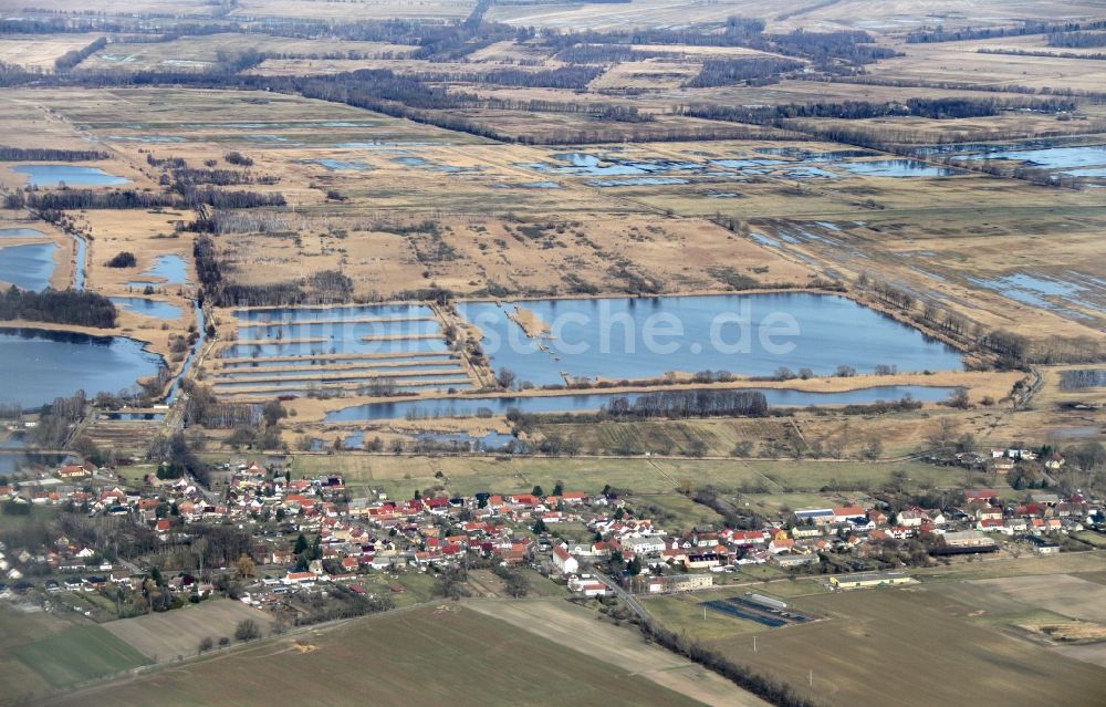 Linum aus der Vogelperspektive: Uferbereiche der Teichanlagen zur Fischzucht in Linum im Bundesland Brandenburg, Deutschland