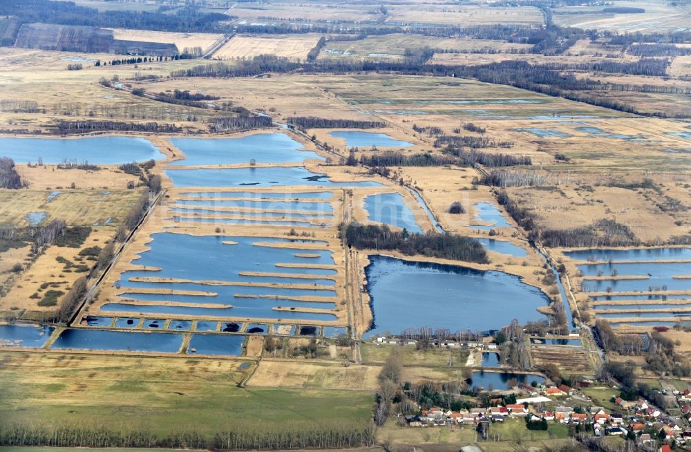 Luftbild Linum - Uferbereiche der Teichanlagen zur Fischzucht in Linum im Bundesland Brandenburg, Deutschland