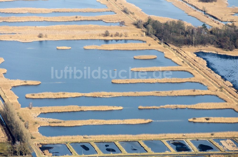 Luftaufnahme Linum - Uferbereiche der Teichanlagen zur Fischzucht in Linum im Bundesland Brandenburg, Deutschland