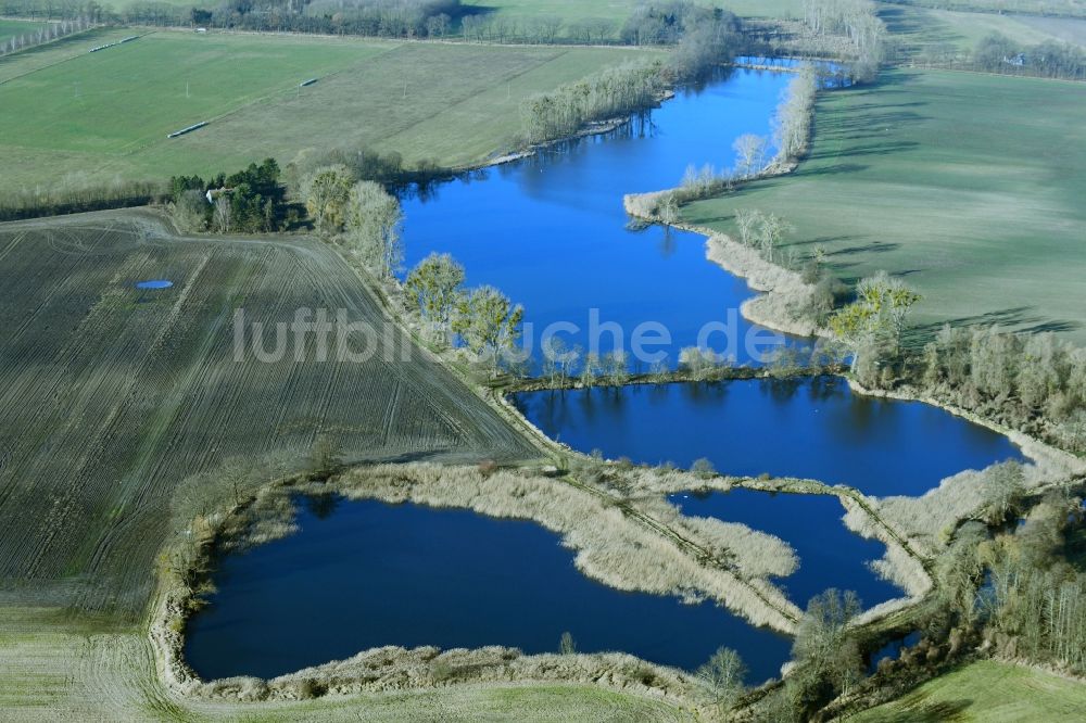 Liebenwalde von oben - Uferbereiche der Teichanlagen zur Fischzucht im Ortsteil Neuholland in Liebenwalde im Bundesland Brandenburg, Deutschland