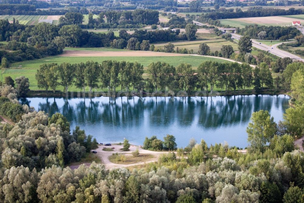 Luftaufnahme Rheinzabern - Uferbereiche des Teichanlagen zur Fischzucht in Rheinzabern im Bundesland Rheinland-Pfalz