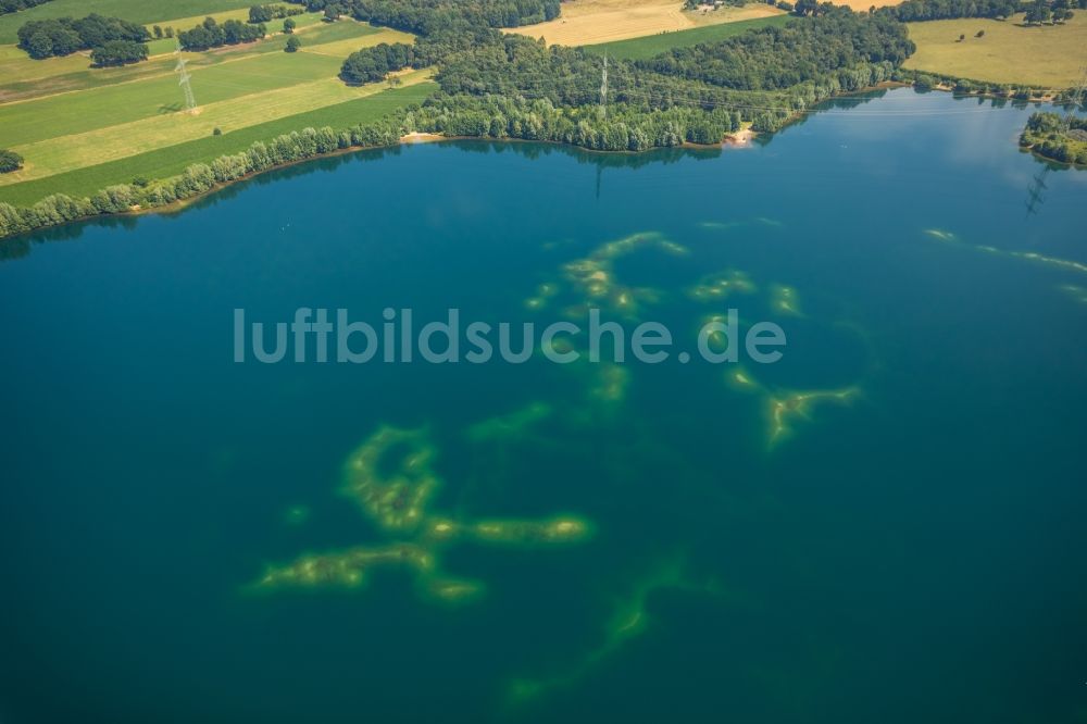 Luftbild Voerde (Niederrhein) - Uferbereiche des Tenderingssee in Voerde (Niederrhein) im Bundesland Nordrhein-Westfalen - NRW, Deutschland