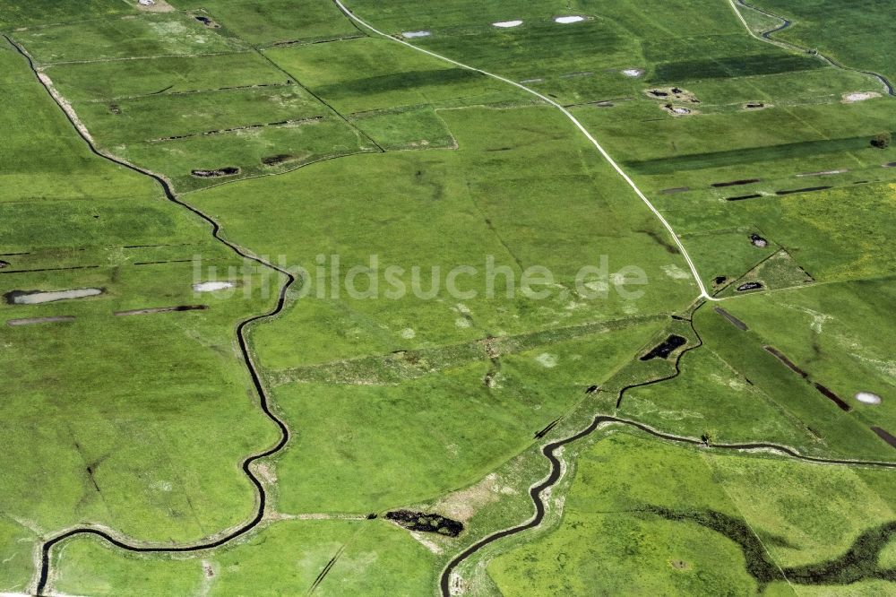 Ornbau aus der Vogelperspektive: Uferbereiche am Zegelgraben Flußverlauf in Arberg im Bundesland Bayern, Deutschland