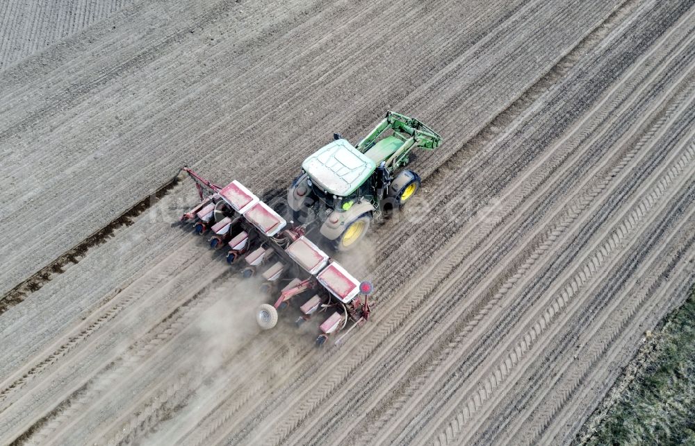 Luftaufnahme Haseloff - Umpflugarbeiten und Umschichtung der Erde durch einen Traktor mit Pflug auf landwirtschaftlichen Feldern in Haseloff im Bundesland Brandenburg, Deutschland