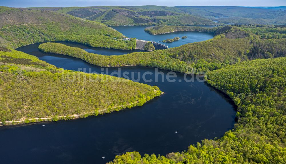 Luftbild Schleiden - Urfttalsperre und Stausee Rursee in Schleiden im Bundesland Nordrhein-Westfalen, Deutschland