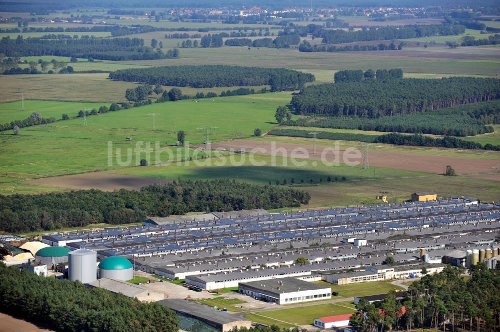 Burgstall OT Sandbeiendorf aus der Vogelperspektive: Van Gennip Tierzuchtanlagen GmbH & Co. KG im Ortsteil Sandbeiendorf der Gemeinde Burgstall im Bundesland Sachsen-Anhalt