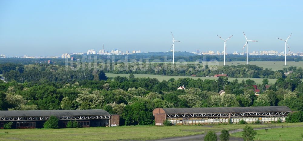 Luftaufnahme Werneuchen - Verfallende Ruinen eines alten Flugzeughangars auf der Südseite des alten Militärflugplatzes Werneuchen im Bundesland Brandenburg