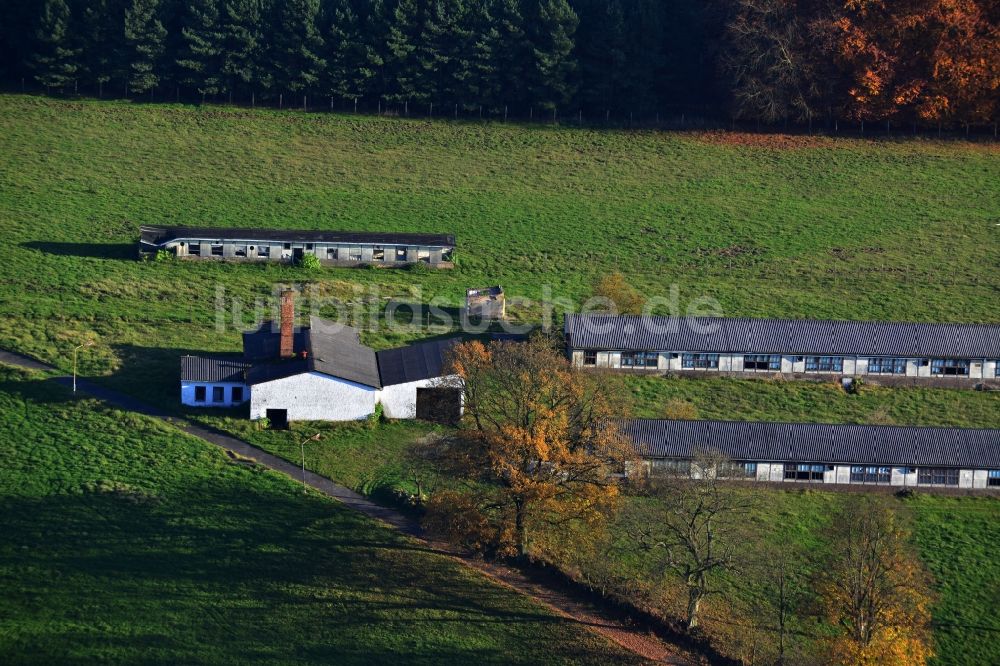 Luftaufnahme Grünow - Verfallende Ruinen- Reste von Stallungen und Baracken eines Tierzuchtbetriebes in Grünow im Bundesland Mecklenburg-Vorpommern