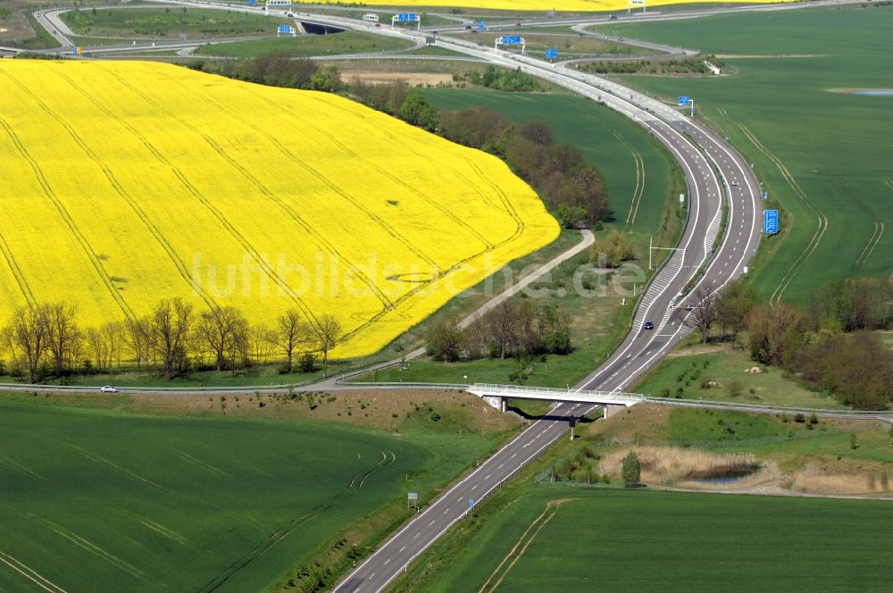 Luftaufnahme Gramzow - Verkehrsführung am Autobahnkreuz der BAB A20 - A11 in Gramzow im Bundesland Brandenburg, Deutschland