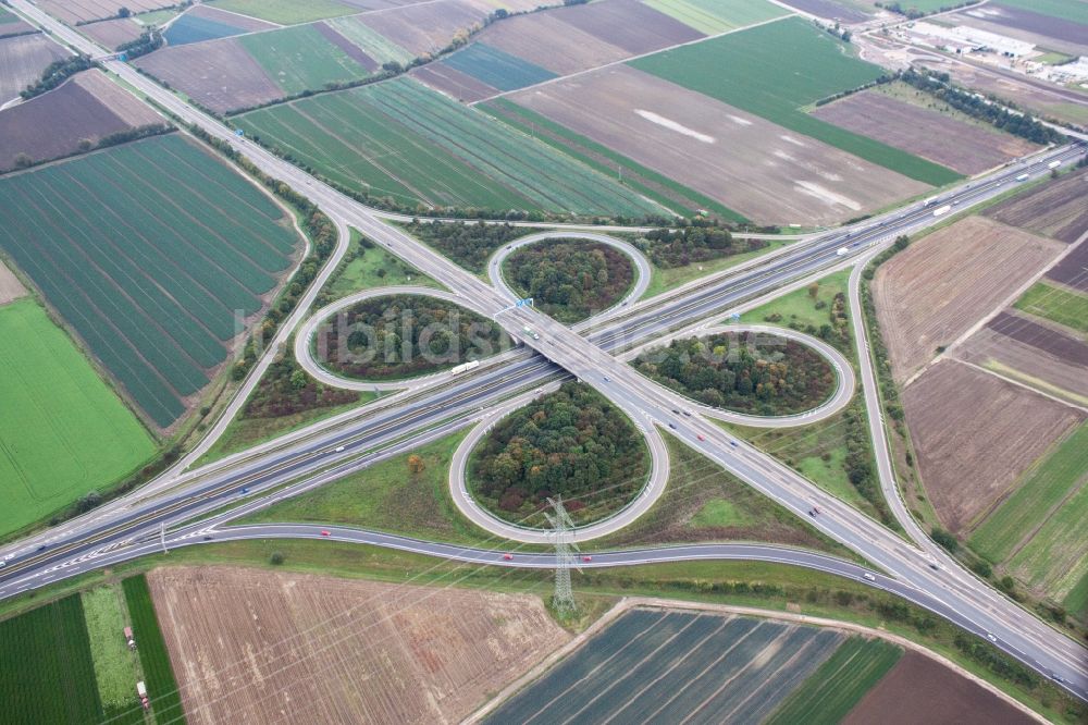 Luftbild Mutterstadt - Verkehrsführung am Autobahnkreuz der BAB A65 und A61 in Mutterstadt im Bundesland Rheinland-Pfalz