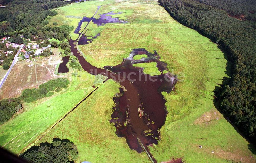 Heinersdorf / Brandenburg aus der Vogelperspektive: Verlandeter Flußarm bei Heinersdorf mit Schiffswrack.