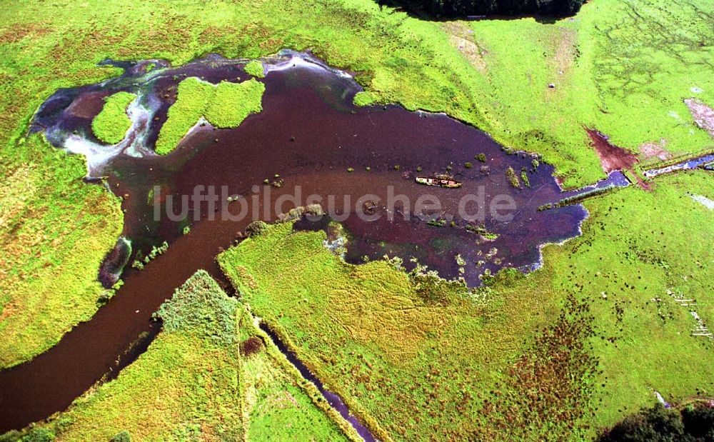 Heinersdorf / Brandenburg von oben - Verlandeter Flußarm bei Heinersdorf mit Schiffswrack.