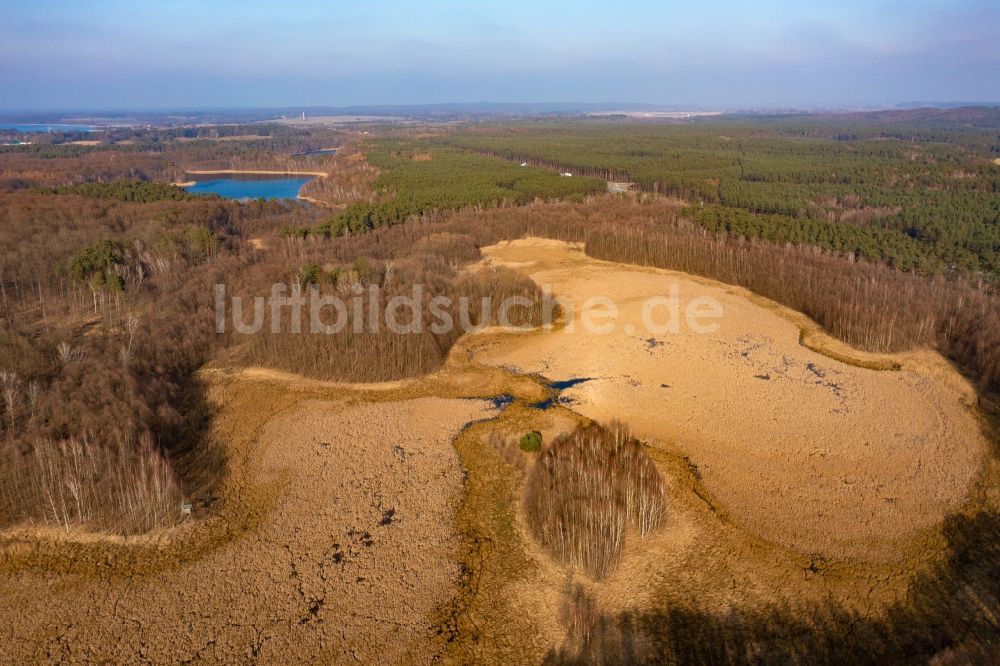 Luftbild Joachimsthal - Verlandung und Austrocknung des See Flacher Bugsinsee in Althüttendorf im Bundesland Brandenburg, Deutschland
