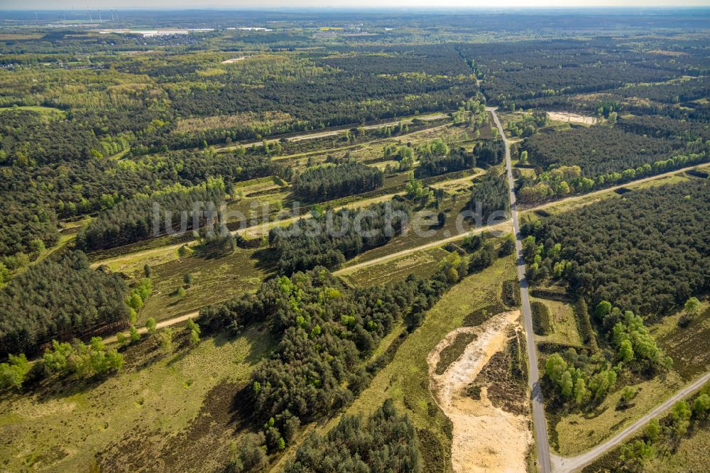 Brüggen aus der Vogelperspektive: Verlassener Bunker- Gebäudekomplex und Munitionsdepots in einem Waldgebiet des Naturschutzgebiet NSG Brachter Wald in Brüggen im Bundesland Nordrhein-Westfalen, Deutschland